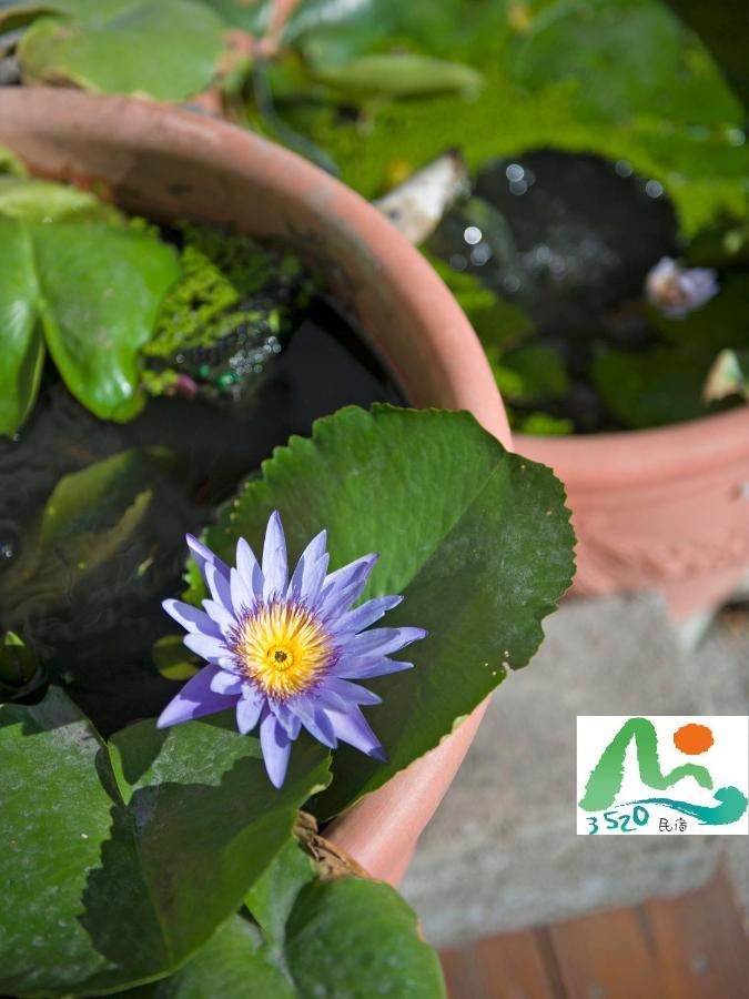 3520 Homestay Taitung Ngoại thất bức ảnh