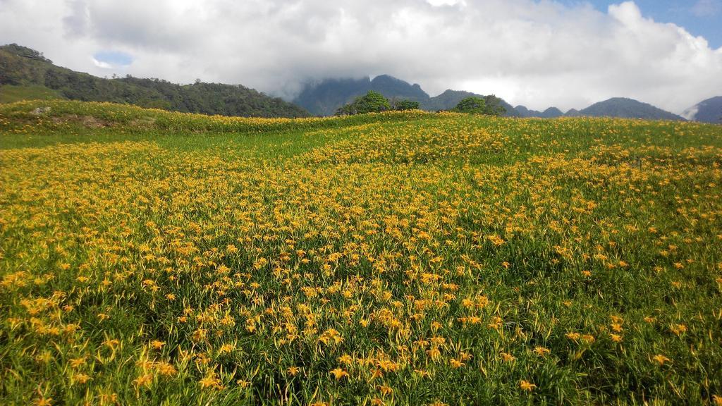 3520 Homestay Taitung Ngoại thất bức ảnh
